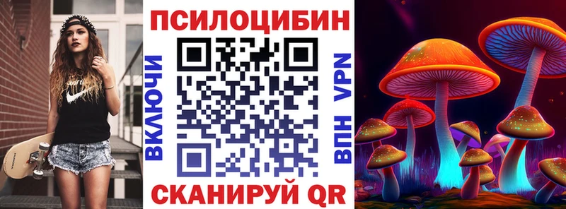 omg   Обоянь  Псилоцибиновые грибы прущие грибы  даркнет сайт 